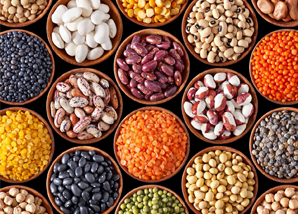 SKYLINE TRADING CO LTD